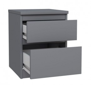 2.03.03.050.4 КАСТОР тумба 2 ящика RU серая в Талице - talica.ok-mebel.com | фото 2