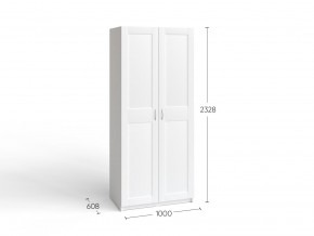 2.06.01.050.4 МАКС шкаф 2 двери 100х61х233 серый RU в Талице - talica.ok-mebel.com | фото 4