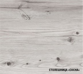 АСАЯ Кухонный гарнитур Экстра 2 (3000 мм) ПМ в Талице - talica.ok-mebel.com | фото 8