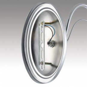 Бра Lumion INCANTO 8034/1W в Талице - talica.ok-mebel.com | фото 7