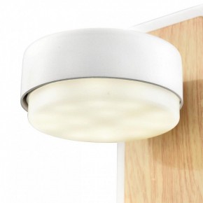 Бра Lumion LELAND 8263/1W в Талице - talica.ok-mebel.com | фото 9