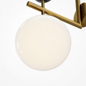 Бра Maytoni Museo MOD436WL-01BS в Талице - talica.ok-mebel.com | фото 6