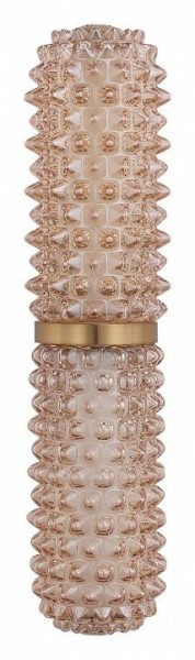 Бра ST-Luce SAGUARO SL6144.301.01 в Талице - talica.ok-mebel.com | фото 4