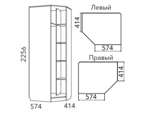 Детская Фанк Шкаф угловой Левый/Правый НМ 013.04-02 М в Талице - talica.ok-mebel.com | фото 3