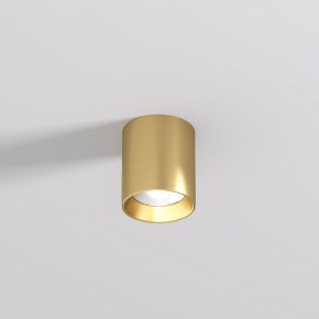 DK2610-SB Накладной светильник SHINE TUBE со светодиодом, D70*H80, IP20, 3000К, 10W, RA?90, сатинированная латунь, алюминий в Талице - talica.ok-mebel.com | фото