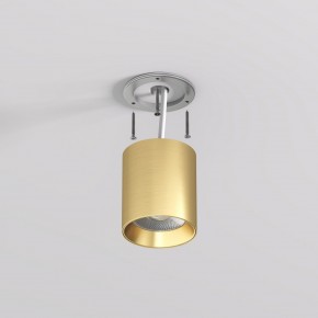 DK2610-SB Накладной светильник SHINE TUBE со светодиодом, D70*H80, IP20, 3000К, 10W, RA?90, сатинированная латунь, алюминий в Талице - talica.ok-mebel.com | фото 3