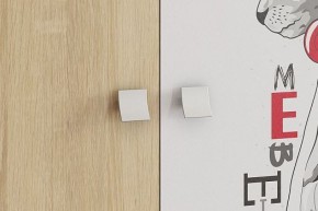 ЭНЕРДЖИ Шкаф 2-створчатый в Талице - talica.ok-mebel.com | фото 4