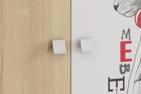 ЭНЕРДЖИ Шкаф 2-створчатый в Талице - talica.ok-mebel.com | фото 4