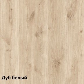 Эйп Шкаф для одежды 13.334 в Талице - talica.ok-mebel.com | фото 5