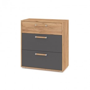 ФЛОРИДА Гостиная (модульная) дуб золотой/графит в Талице - talica.ok-mebel.com | фото 8