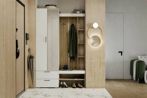 Гарнитур для прихожей Торонто в Талице - talica.ok-mebel.com | фото 5