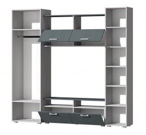 Гостиная Эмми (Анкор светлый/Графит) в Талице - talica.ok-mebel.com | фото 3