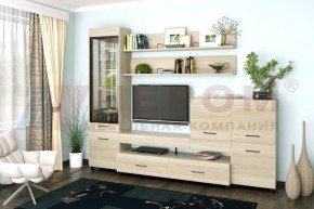 Гостиная Камелия Композиция 5 (Ясень Асахи) в Талице - talica.ok-mebel.com | фото