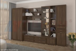 Гостиная Карина Композиция 11 (Акация Молдау) в Талице - talica.ok-mebel.com | фото