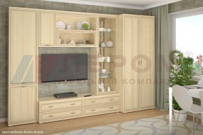 Гостиная Карина Композиция 16 (Ясень Асахи) в Талице - talica.ok-mebel.com | фото