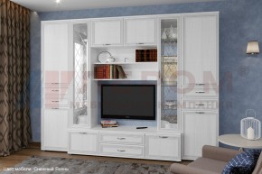 Гостиная Карина Композиция 17 (Снежный ясень) в Талице - talica.ok-mebel.com | фото 1