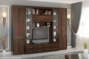 Гостиная Карина Композиция 19 (Акация Молдау) в Талице - talica.ok-mebel.com | фото 5