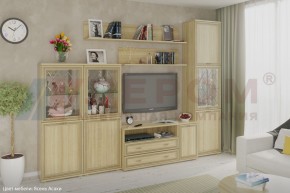 Гостиная Карина Композиция 22 (Ясень Асахи) в Талице - talica.ok-mebel.com | фото 1