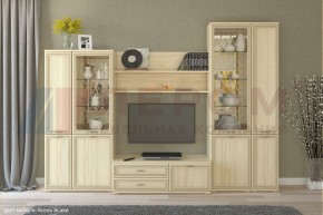 Гостиная Карина Композиция 24 (Ясень Асахи) в Талице - talica.ok-mebel.com | фото