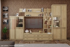 Гостиная Карина Композиция 5 (Гикори Джексон светлый) в Талице - talica.ok-mebel.com | фото