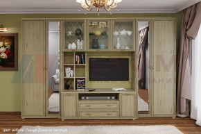 Гостиная Карина Композиция 6 (Гикори Джексон светлый) в Талице - talica.ok-mebel.com | фото