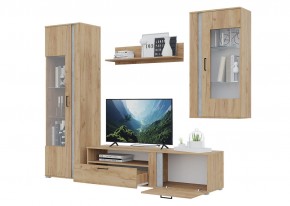 Гостиная Омега (Крафт золотой-Бетон) в Талице - talica.ok-mebel.com | фото 4