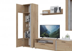 Гостиная Омега (Крафт золотой-Бетон) в Талице - talica.ok-mebel.com | фото 5