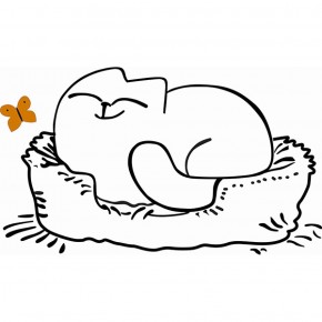 Кровать двухуровневая Кот № 900.1 ЛЕВАЯ (туя светлая/белый) в Талице - talica.ok-mebel.com | фото 2