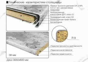 Кухонный фартук со столешницей (А-06) в едином стиле (3050 мм) в Талице - talica.ok-mebel.com | фото 6