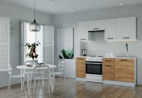Кухонный гарнитур Лада 2000 (Стол. 38мм) в Талице - talica.ok-mebel.com | фото