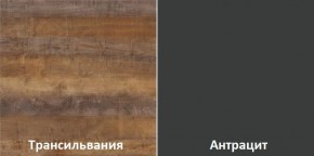 Кухонный гарнитур угловой Трансильвания 2600х1600 мм (Стол. 38 мм) в Талице - talica.ok-mebel.com | фото 3