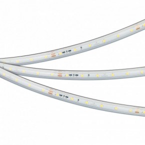 Лента светодиодная Arlight IC-PS-A60-10mm 24V 050656 в Талице - talica.ok-mebel.com | фото