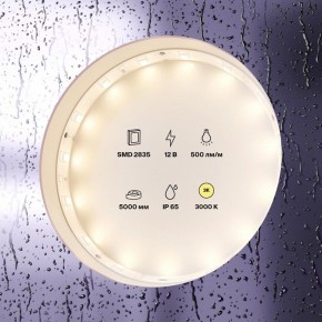 Лента светодиодная Maytoni Led strip 10105 в Талице - talica.ok-mebel.com | фото 2