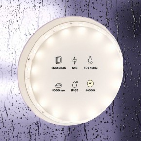 Лента светодиодная Maytoni Led strip 10106 в Талице - talica.ok-mebel.com | фото 3