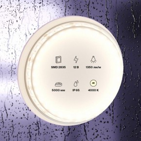 Лента светодиодная Maytoni Led strip 10118 в Талице - talica.ok-mebel.com | фото 2