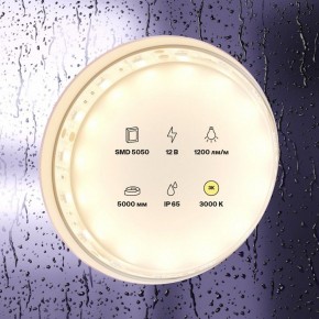 Лента светодиодная Maytoni Led strip 10131 в Талице - talica.ok-mebel.com | фото 3