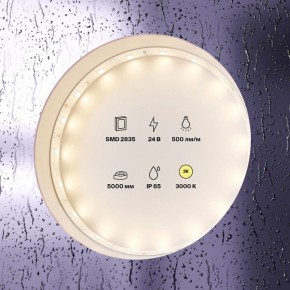 Лента светодиодная Maytoni Led strip 10139 в Талице - talica.ok-mebel.com | фото 2