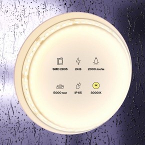 Лента светодиодная Maytoni Led strip 10157 в Талице - talica.ok-mebel.com | фото 3