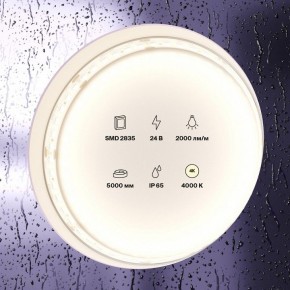 Лента светодиодная Maytoni Led strip 10158 в Талице - talica.ok-mebel.com | фото 2