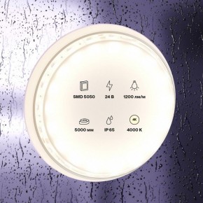 Лента светодиодная Maytoni Led strip 10172 в Талице - talica.ok-mebel.com | фото 2