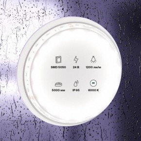 Лента светодиодная Maytoni Led strip 10173 в Талице - talica.ok-mebel.com | фото 2