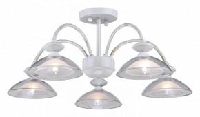 Люстра на штанге Arti Lampadari Noventa Noventa E 1.1.5 W в Талице - talica.ok-mebel.com | фото