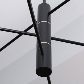 Люстра на штанге Favourite Imma 4375-6P в Талице - talica.ok-mebel.com | фото 2