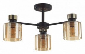 Люстра на штанге Lumion ARLIN 5643/3C в Талице - talica.ok-mebel.com | фото