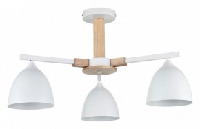 Люстра на штанге Lumion Colange 8095/3C в Талице - talica.ok-mebel.com | фото