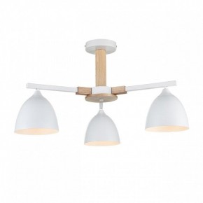 Люстра на штанге Lumion Colange 8095/3C в Талице - talica.ok-mebel.com | фото 2