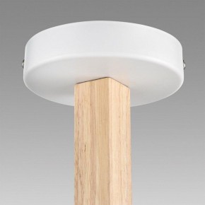 Люстра на штанге Lumion Colange 8095/3C в Талице - talica.ok-mebel.com | фото 9