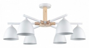 Люстра на штанге Lumion Colange 8095/6C в Талице - talica.ok-mebel.com | фото