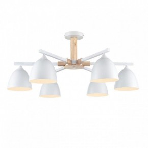 Люстра на штанге Lumion Colange 8095/6C в Талице - talica.ok-mebel.com | фото 2