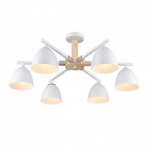 Люстра на штанге Lumion Colange 8095/6C в Талице - talica.ok-mebel.com | фото 3